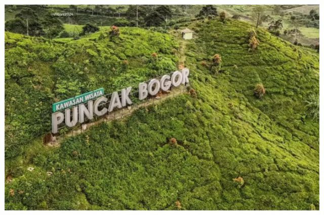 Menjelajahi Keindahan Puncak Bogor