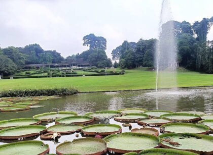 Kebun Raya Bogor